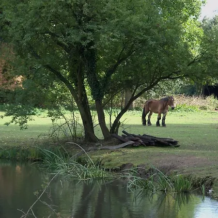 Hotel Land-Hotel Zum Schwan, Garni 3 E-Ladestationen, Naehe Phantasialand, Naehe Palmenparadies Euskirchen 3*