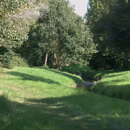 Land-Hotel Zum Schwan, Garni 3 E-Ladestationen, Naehe Phantasialand, Naehe Palmenparadies Euskirchen Hotel Weilerswist